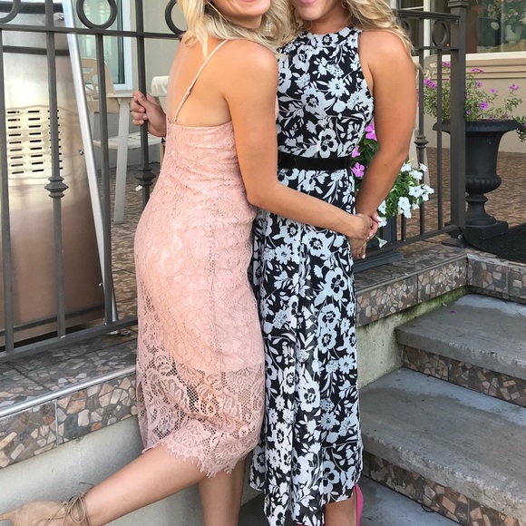 Bardot Blush Lace Dress - Picture 4 of 6